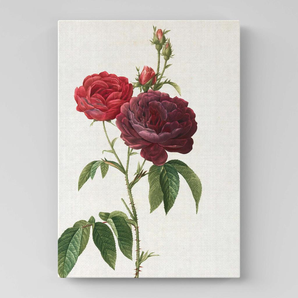 Картина с цветами (Ботаника) FB1074