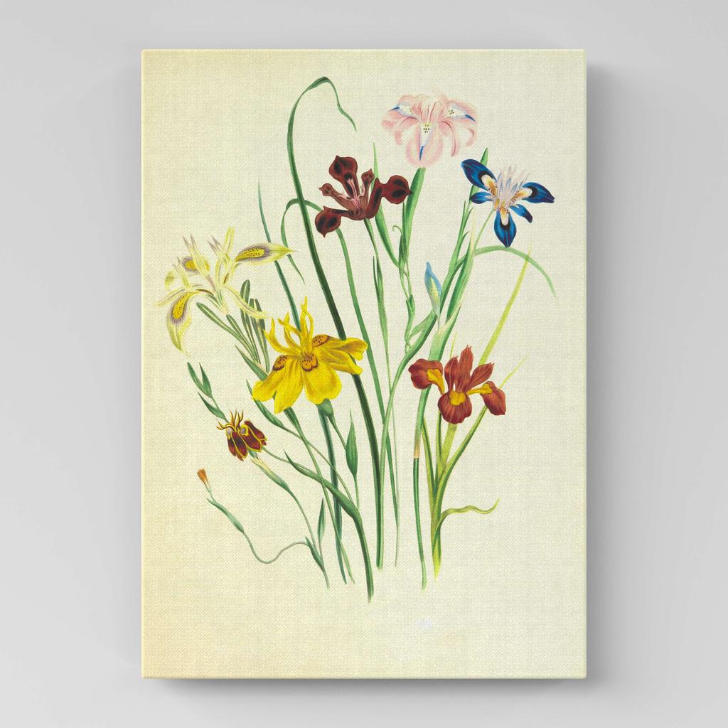 Картина с цветами (Ботаника) FB1082