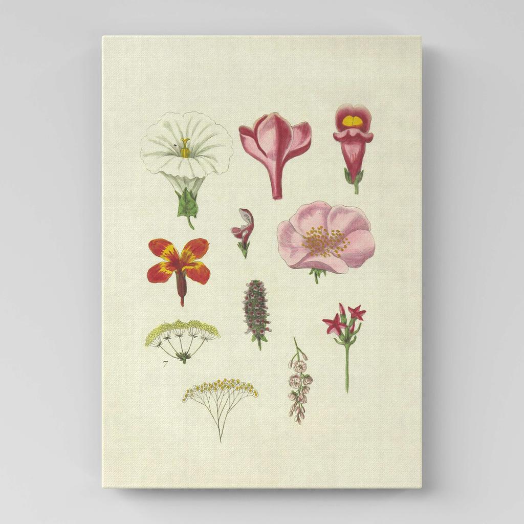 Картина с цветами (Ботаника) FB1083