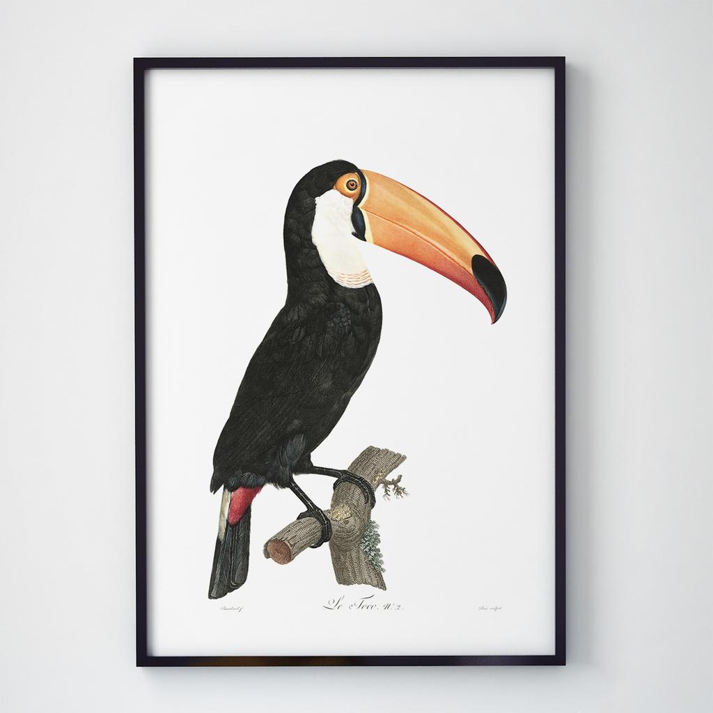 Постер на стіну з Птахами B011