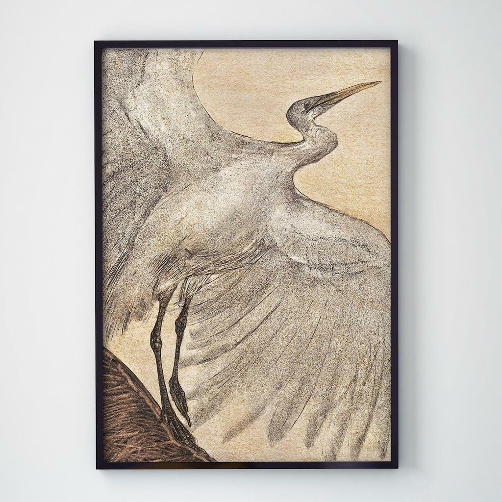 Постер на стіну з Птахами B016