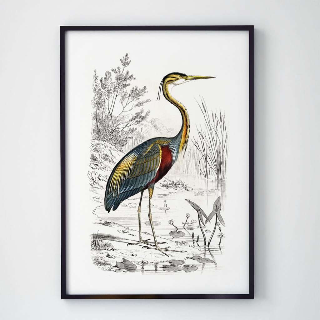 Постер на стіну з Птахами B019