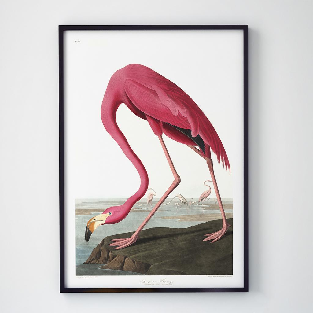 Постер на стіну з Птахами B032