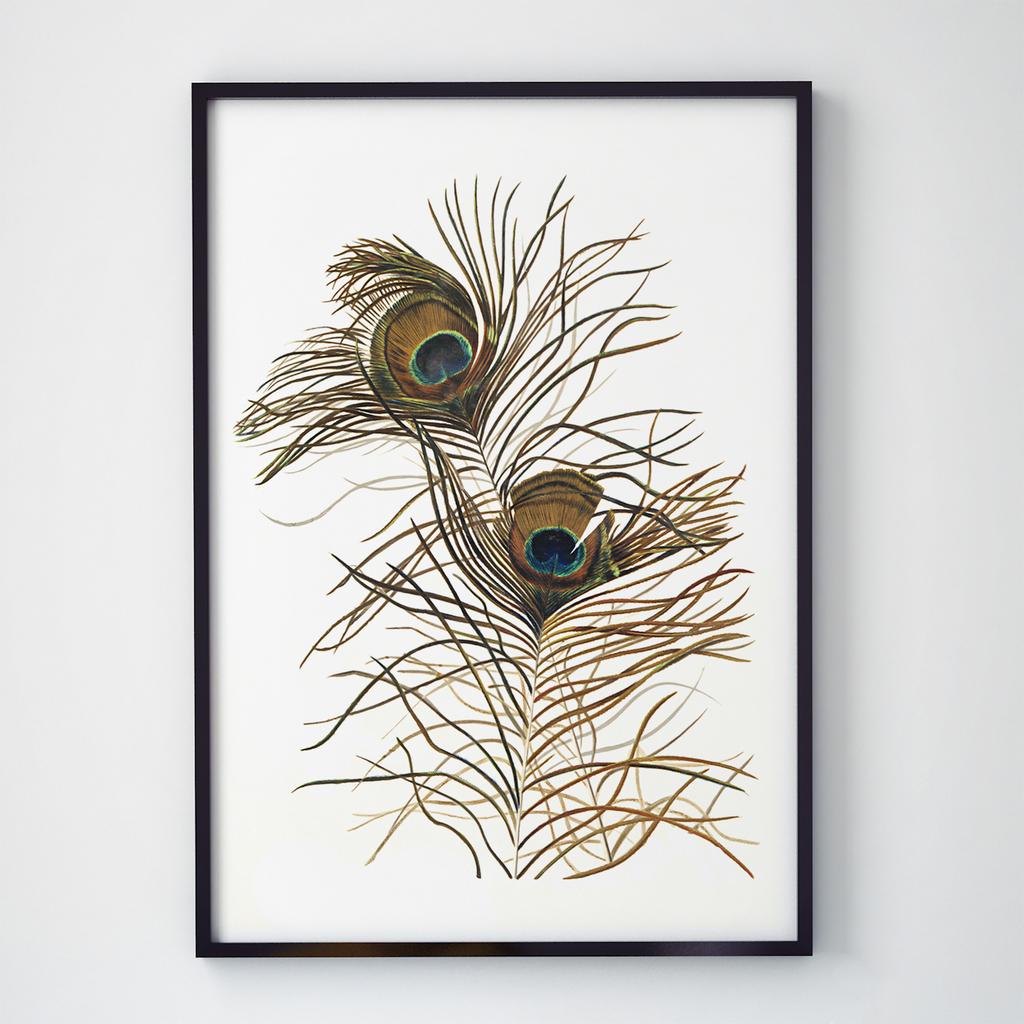 Постер на стіну з Птахами B034