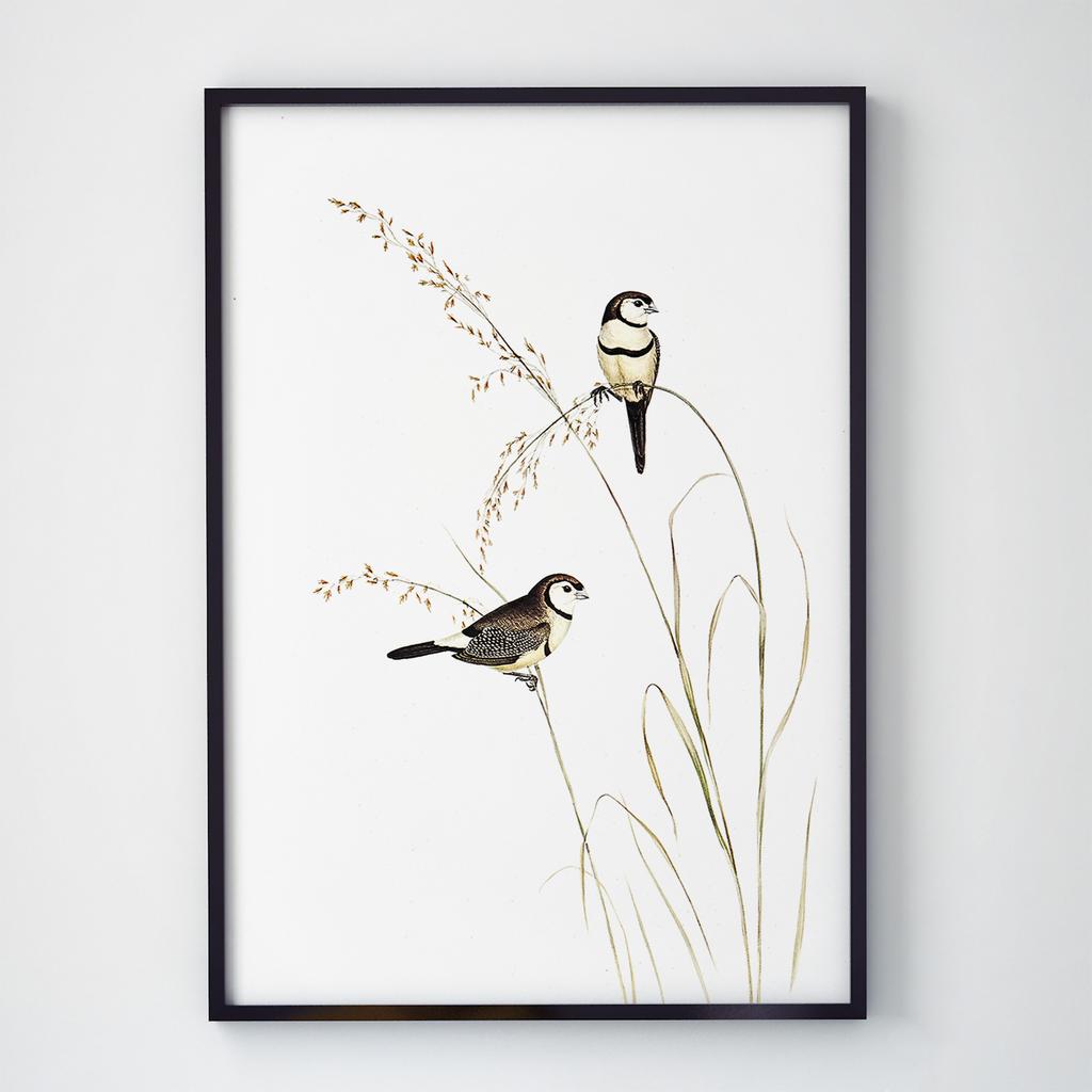 Постер на стіну з Птахами B038