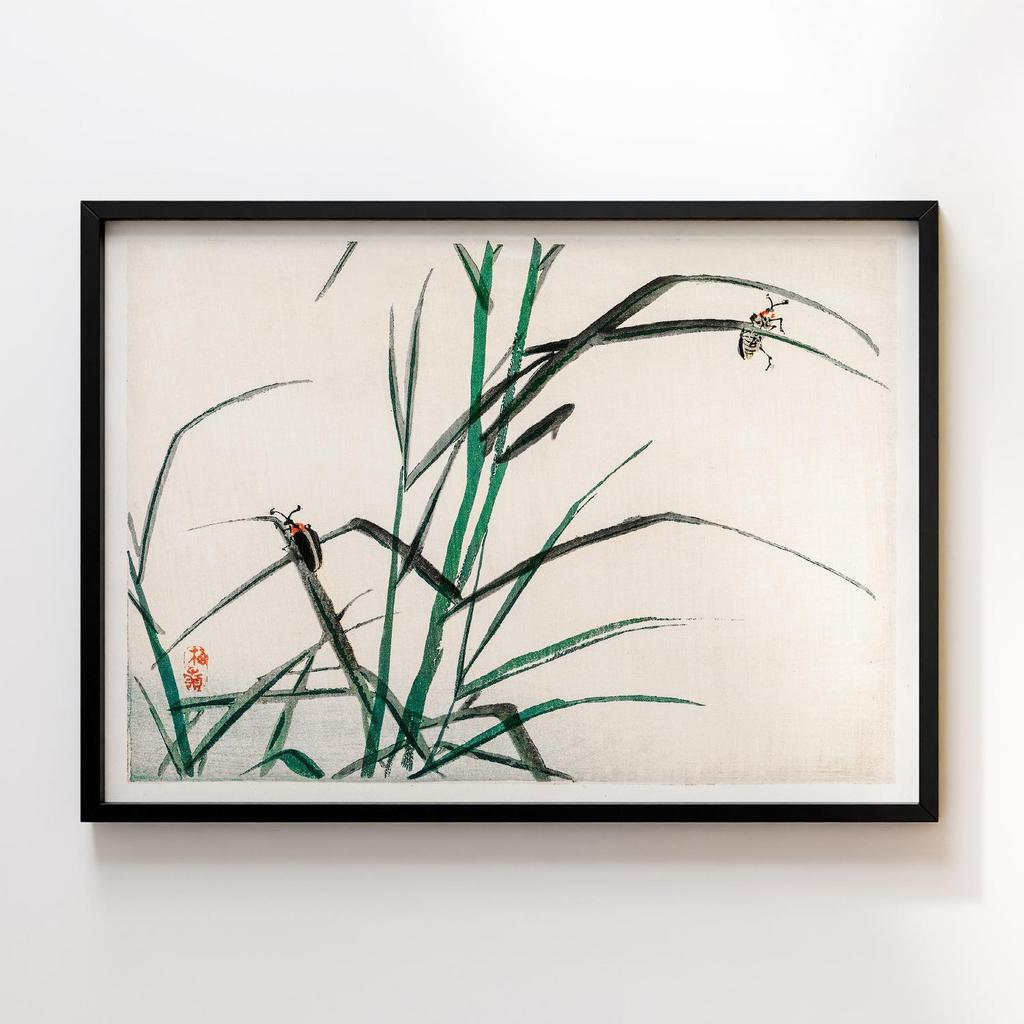 Постер Kono Bairei Gakan Beetles