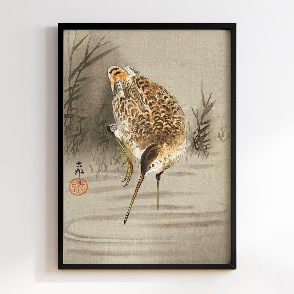 Постер Snip in the water (1900 - 1930) by Ohara Koson (1877-1945)