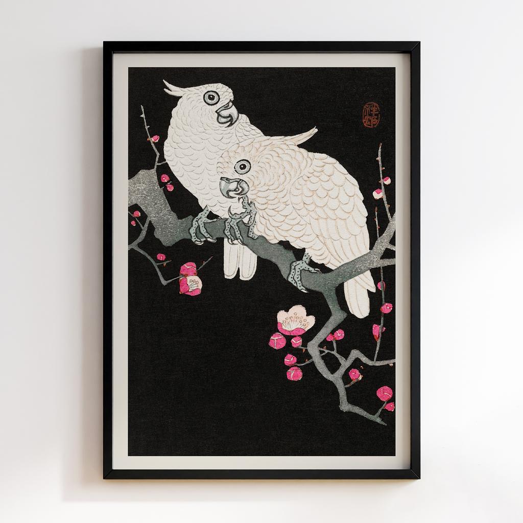 Постер Two cockatoo and plum blossom (1925 - 1936) by Ohara Koson (1877-1945)