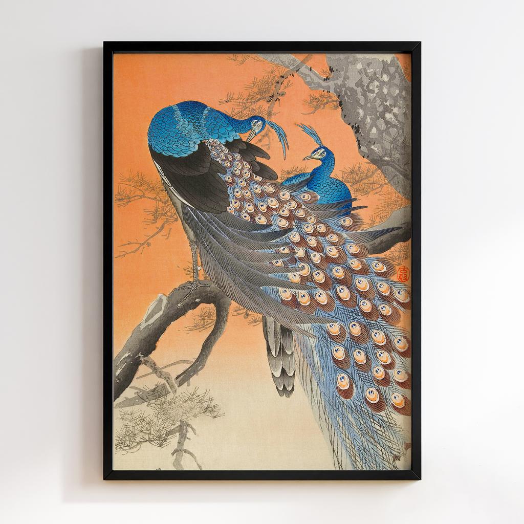 Постер Two peacocks on tree branch (1900 - 1930) by Ohara Koson (1877-1945)