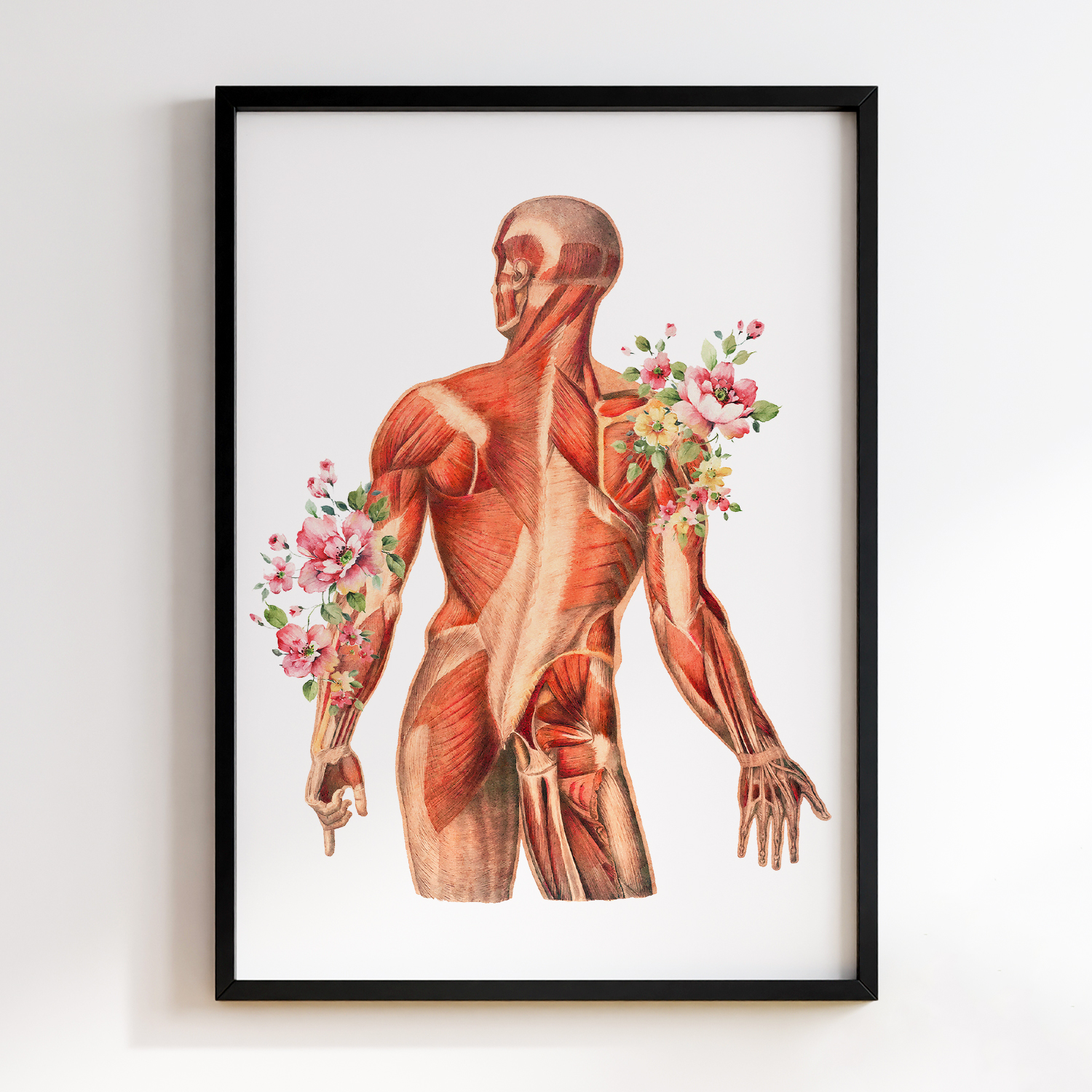 Анатомія та Квіти #01