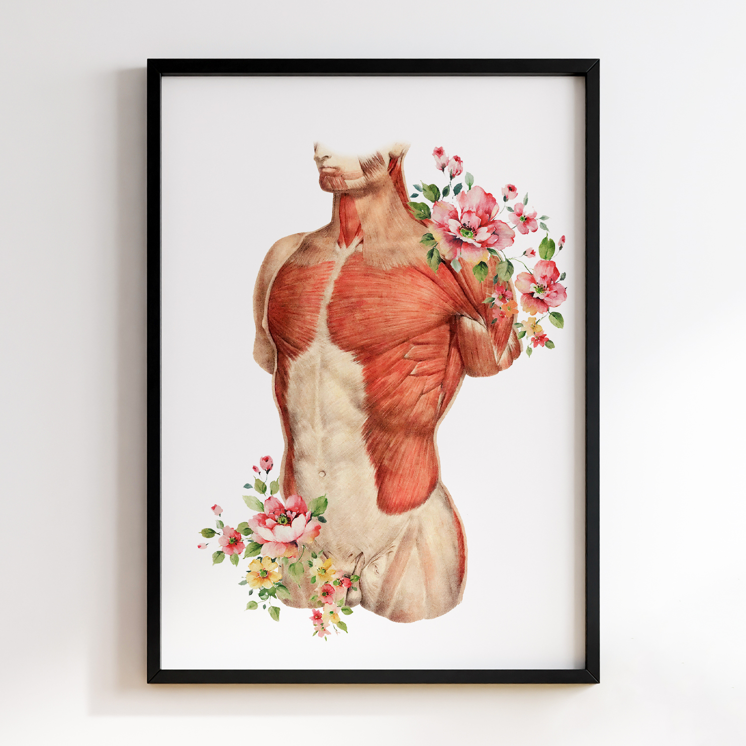 Анатомія та Квіти #02