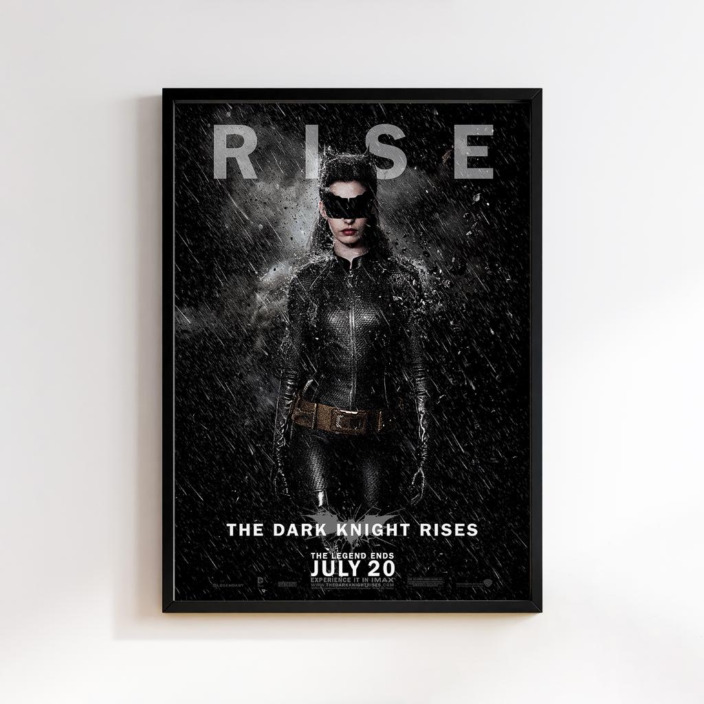 The Dark Knight Rises 2012 #30563