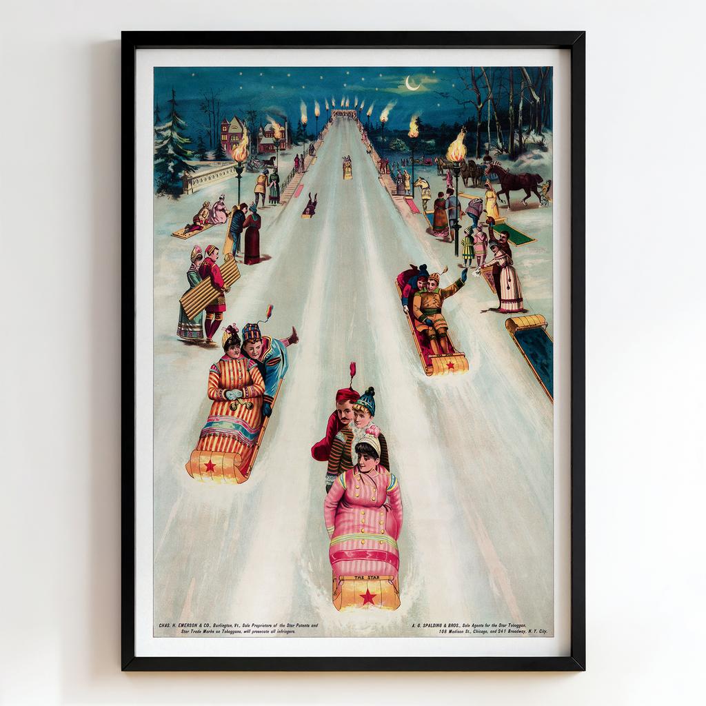Ретро постер "The Star Toboggan Slide (1895)"