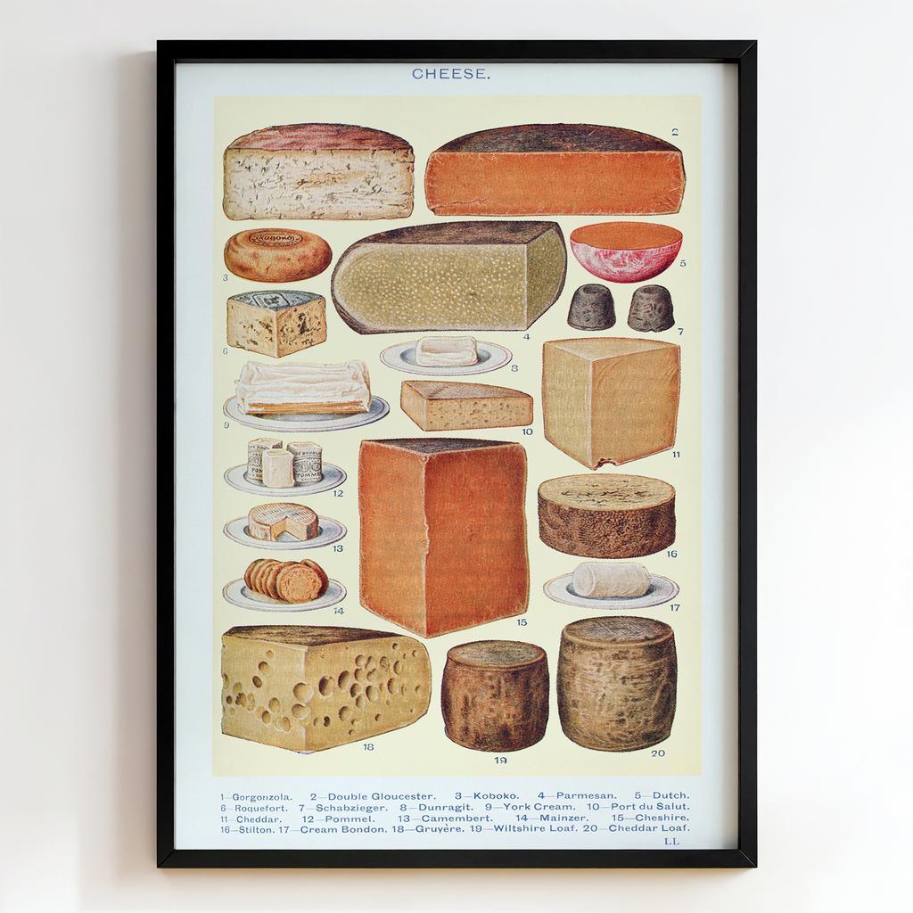 Ретро постер "Cheese Varieties Chart (1890)"
