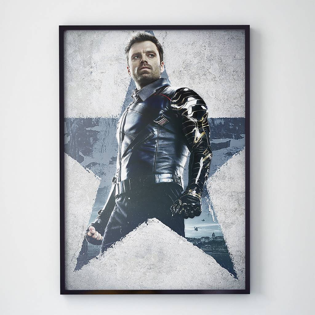 Постер Сокол и Зимний Солдат (The Falcon and The Winter Soldier) (FWS004)