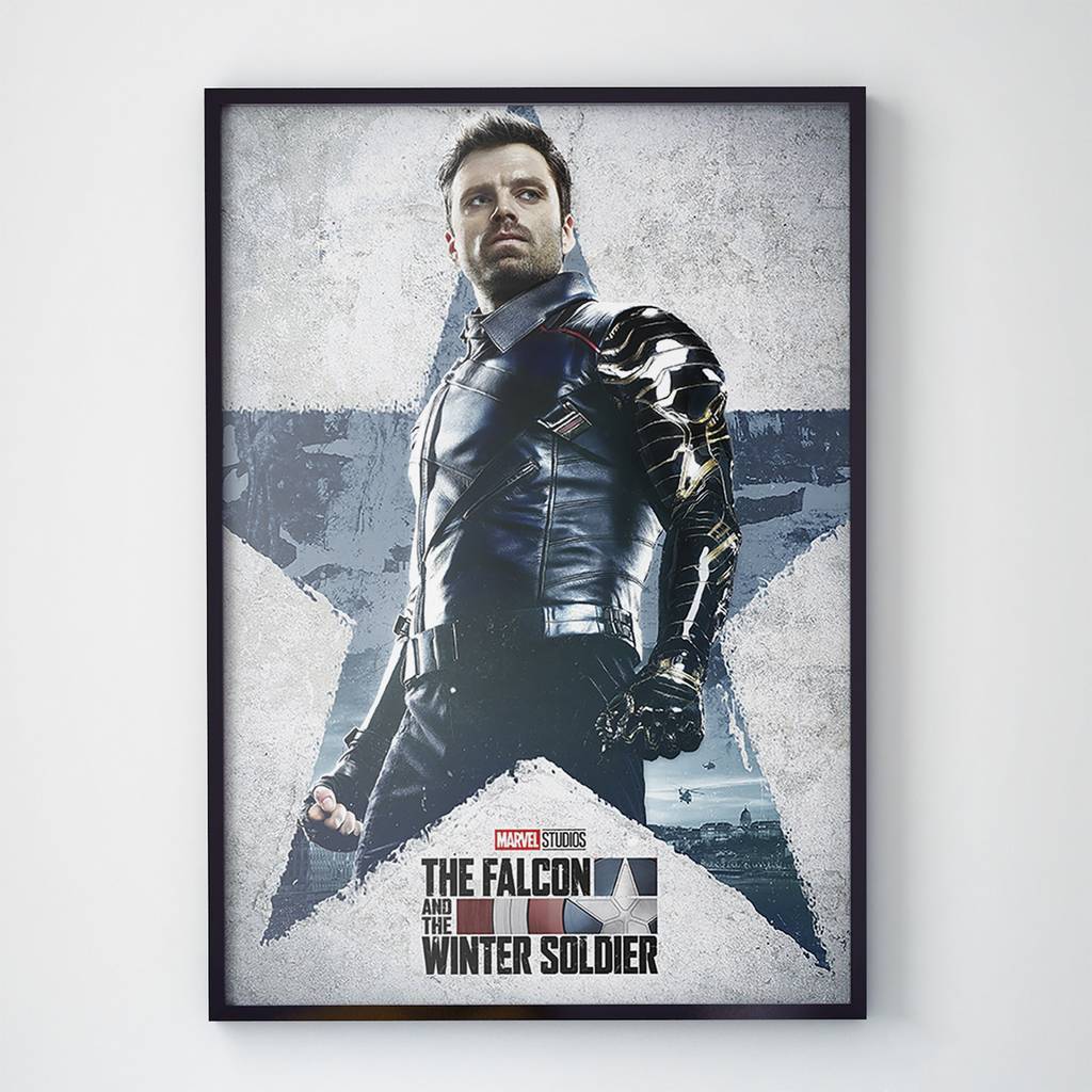 Постер Сокол и Зимний Солдат (The Falcon and The Winter Soldier) (FWS005)