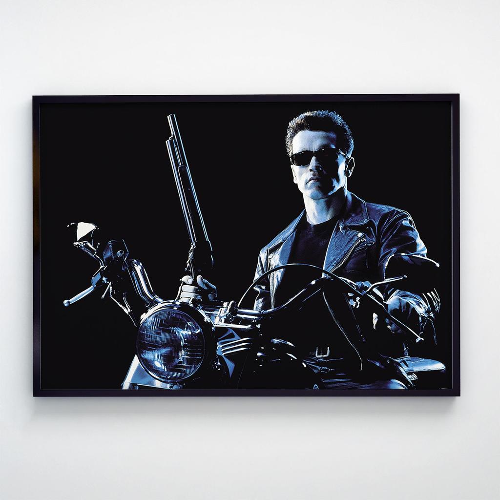 Постер Терминатор (Terminator) TR1010