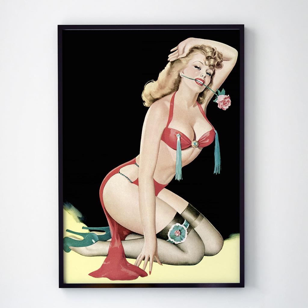 Постер Пин-Ап (Pin-Up) PU1129