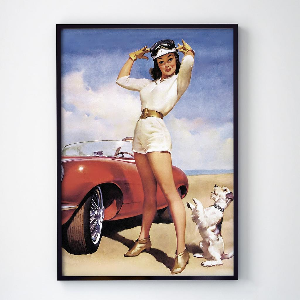 Постер Пин-Ап (Pin-Up) PU1175