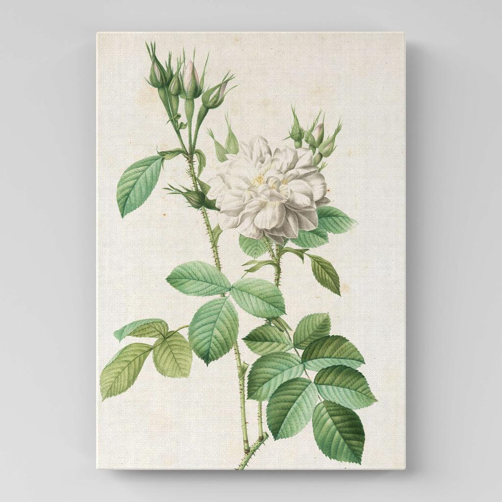 Картина с цветами (Ботаника) FB1006