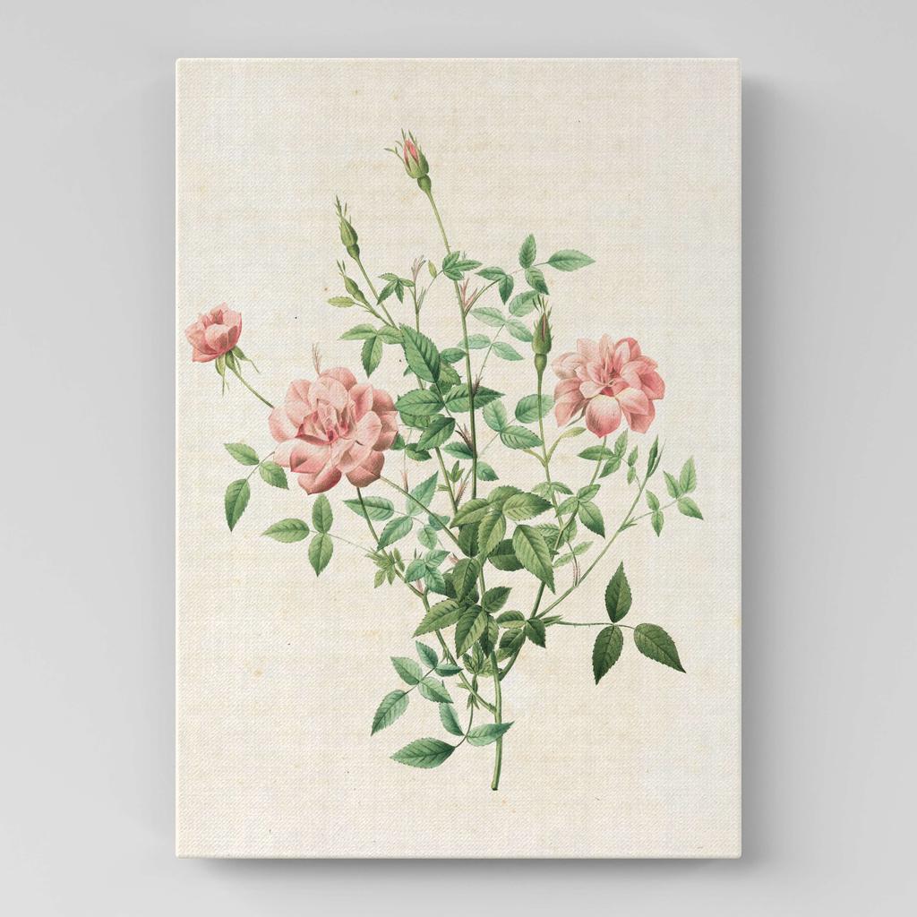 Картина с цветами (Ботаника) FB1007