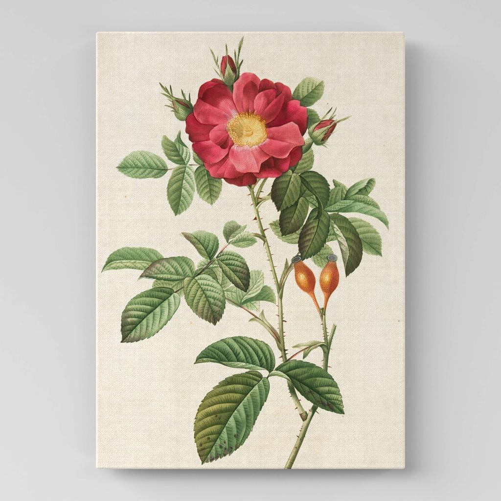 Картина с цветами (Ботаника) FB1008