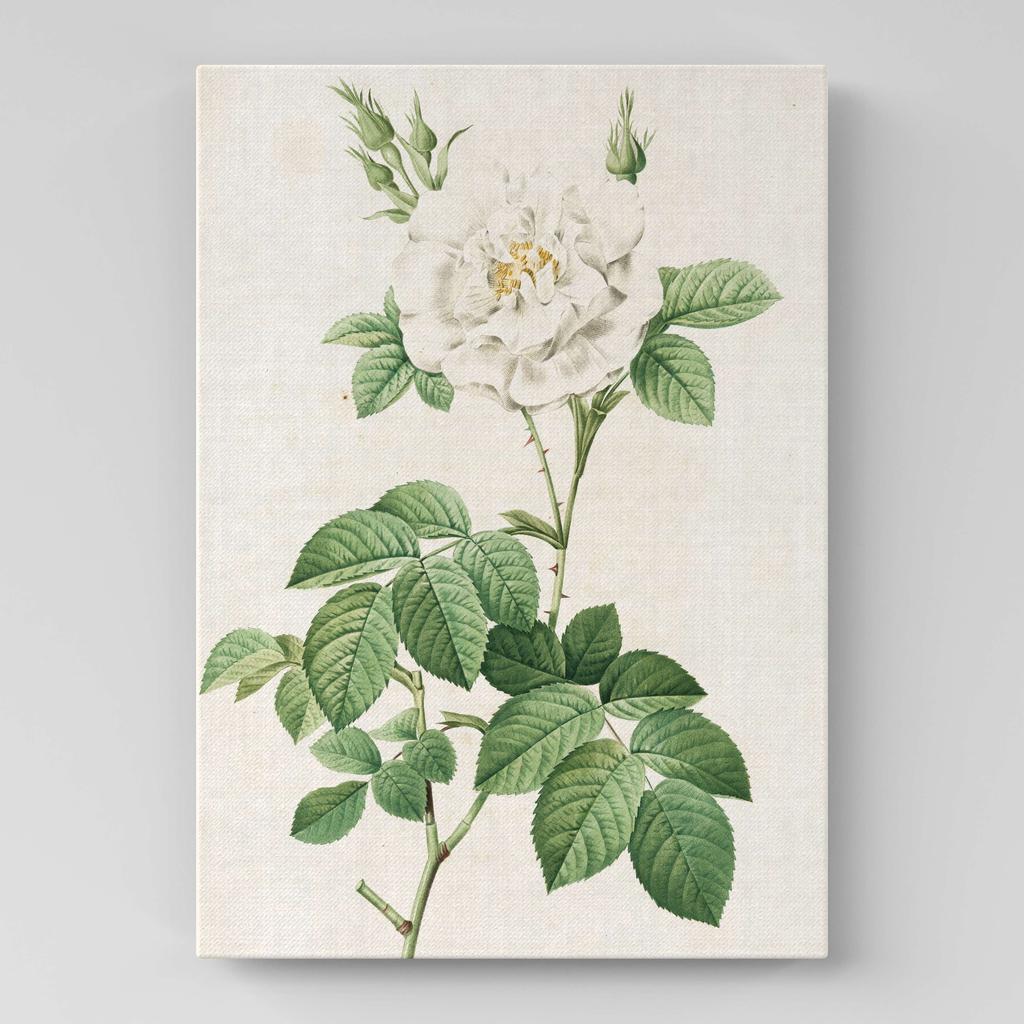 Картина с цветами (Ботаника) FB1009