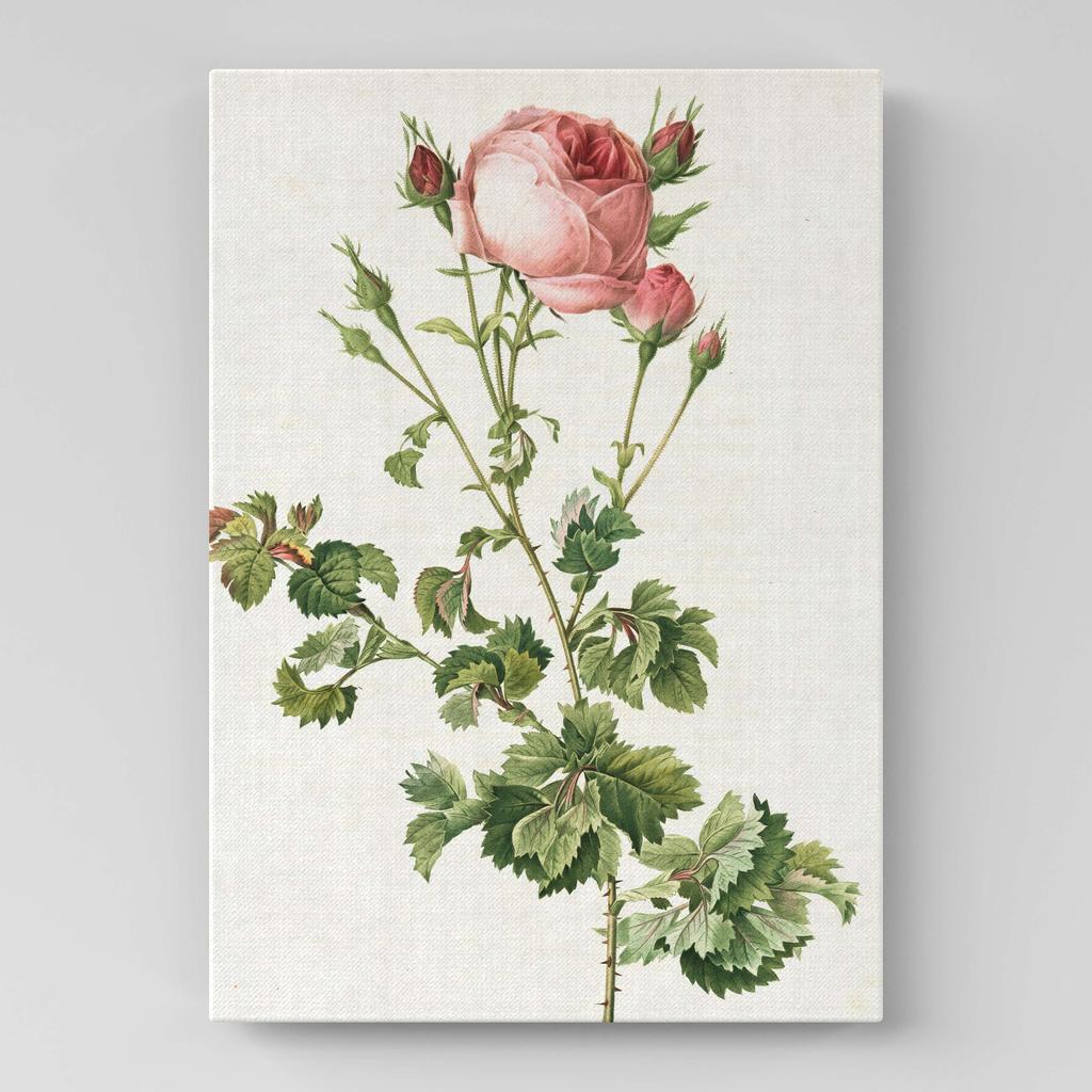 Картина с цветами (Ботаника) FB1012