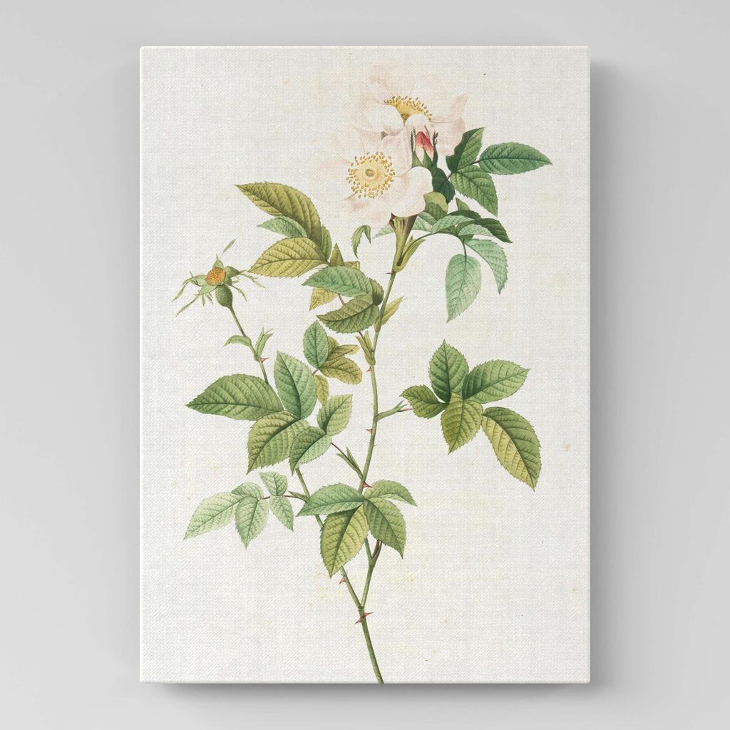 Картина с цветами (Ботаника) FB1013