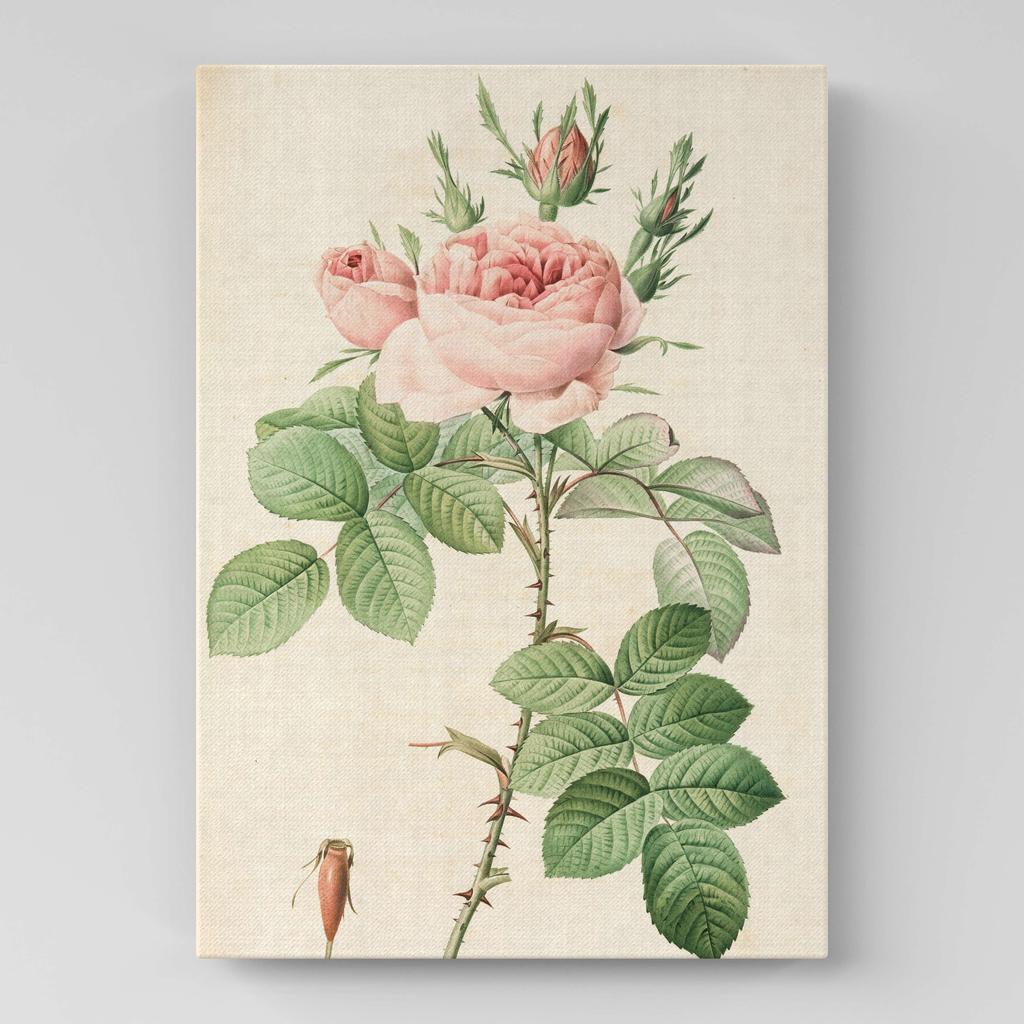 Картина с цветами (Ботаника) FB1014