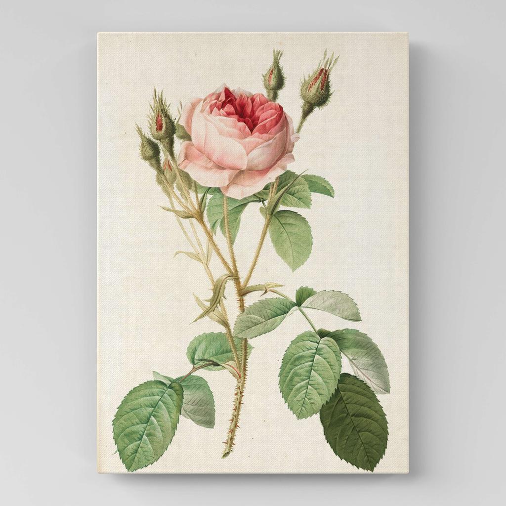 Картина с цветами (Ботаника) FB1017