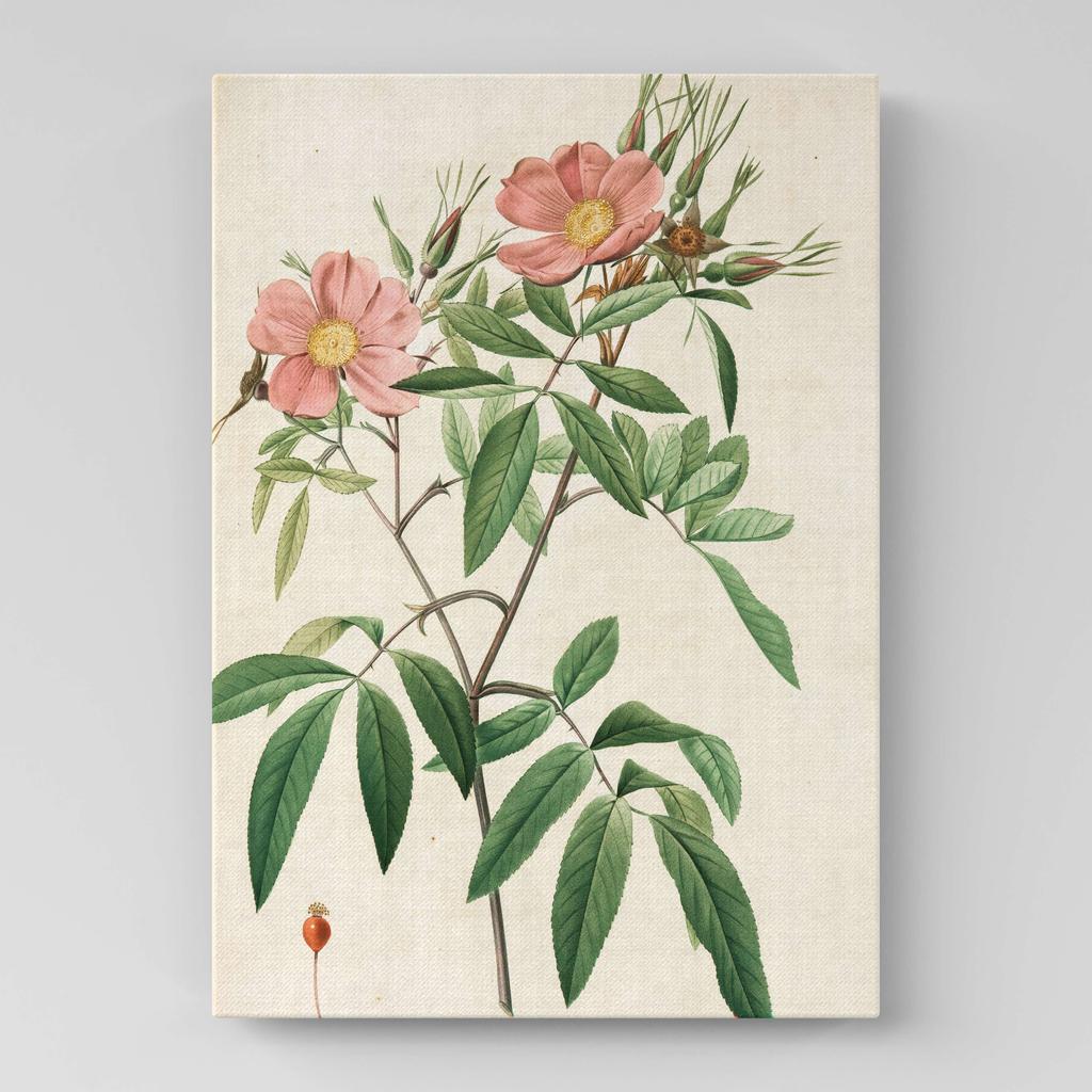 Картина с цветами (Ботаника) FB1018