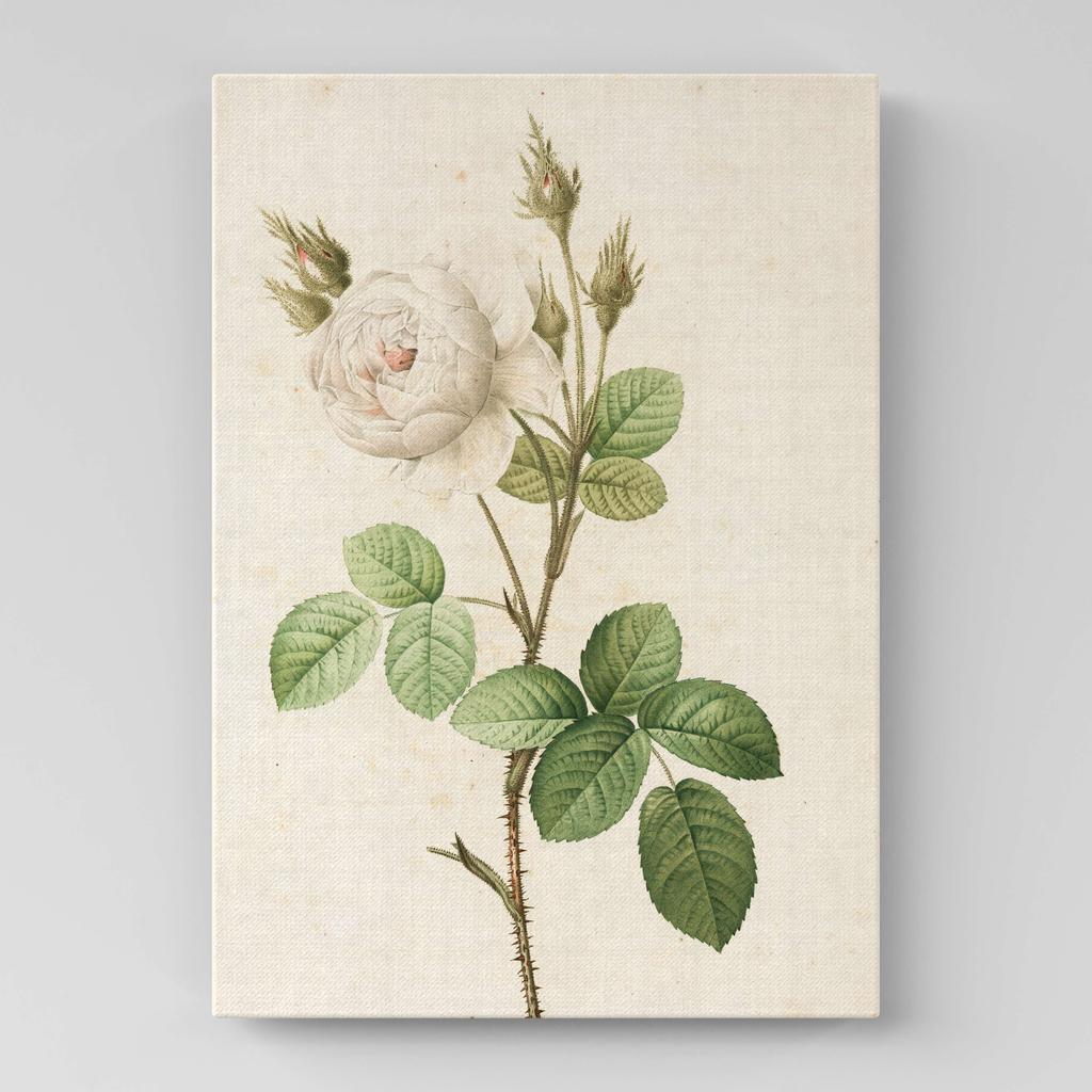 Картина с цветами (Ботаника) FB1019