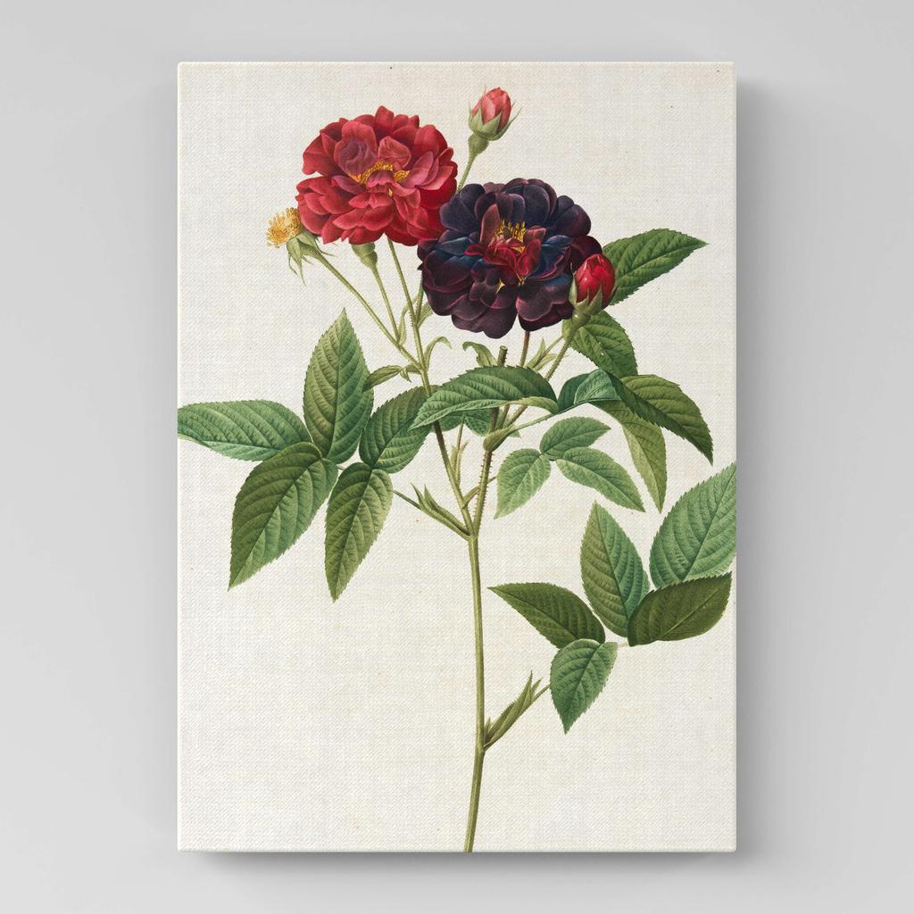 Картина с цветами (Ботаника) FB1025