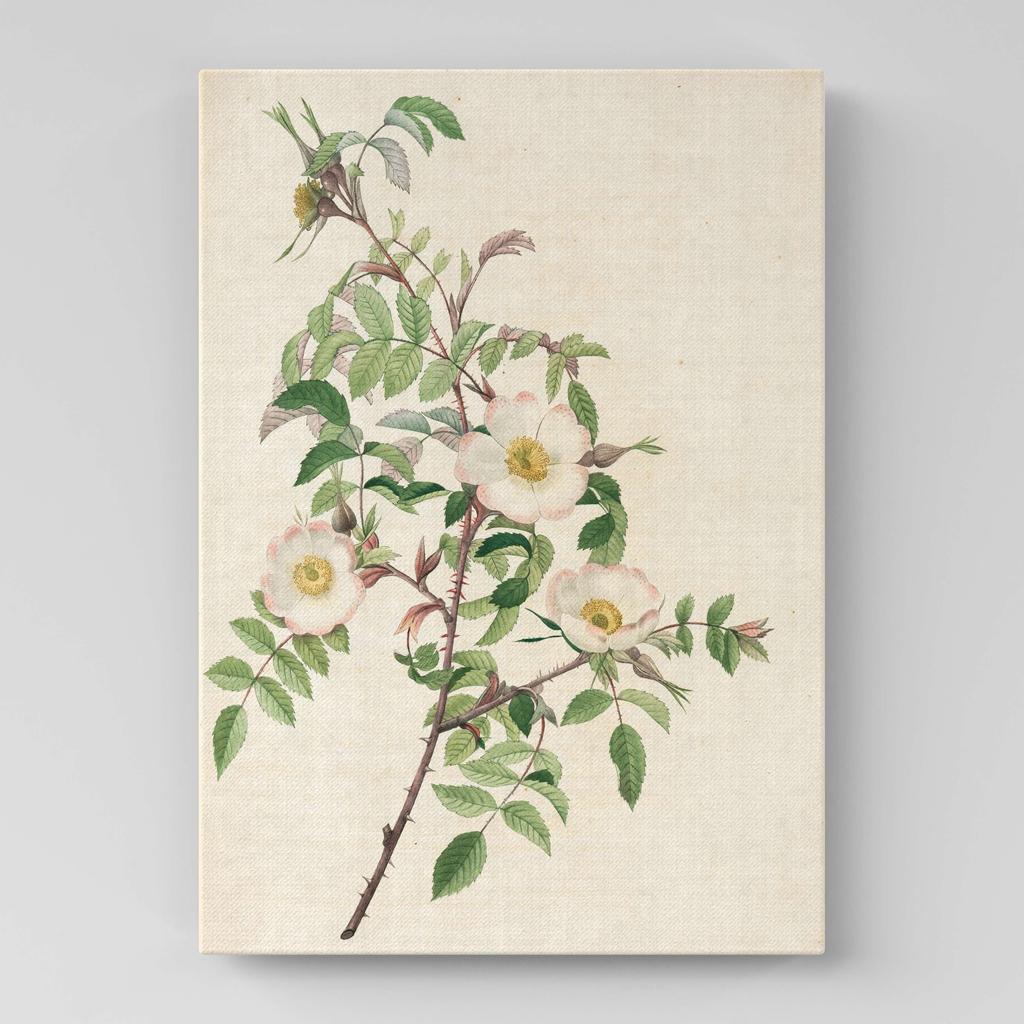 Картина с цветами (Ботаника) FB1029