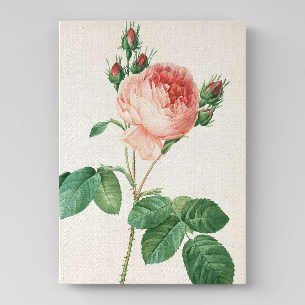 Картина с цветами (Ботаника) FB1031