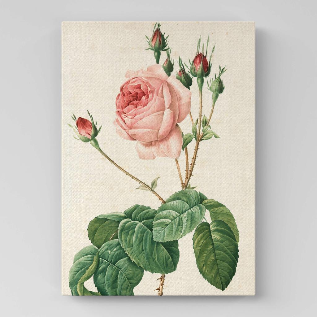 Картина с цветами (Ботаника) FB1032