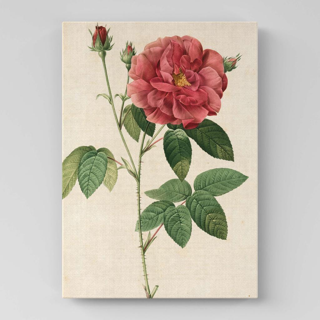 Картина с цветами (Ботаника) FB1033