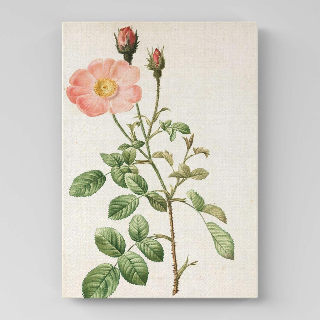 Картина с цветами (Ботаника) FB1034