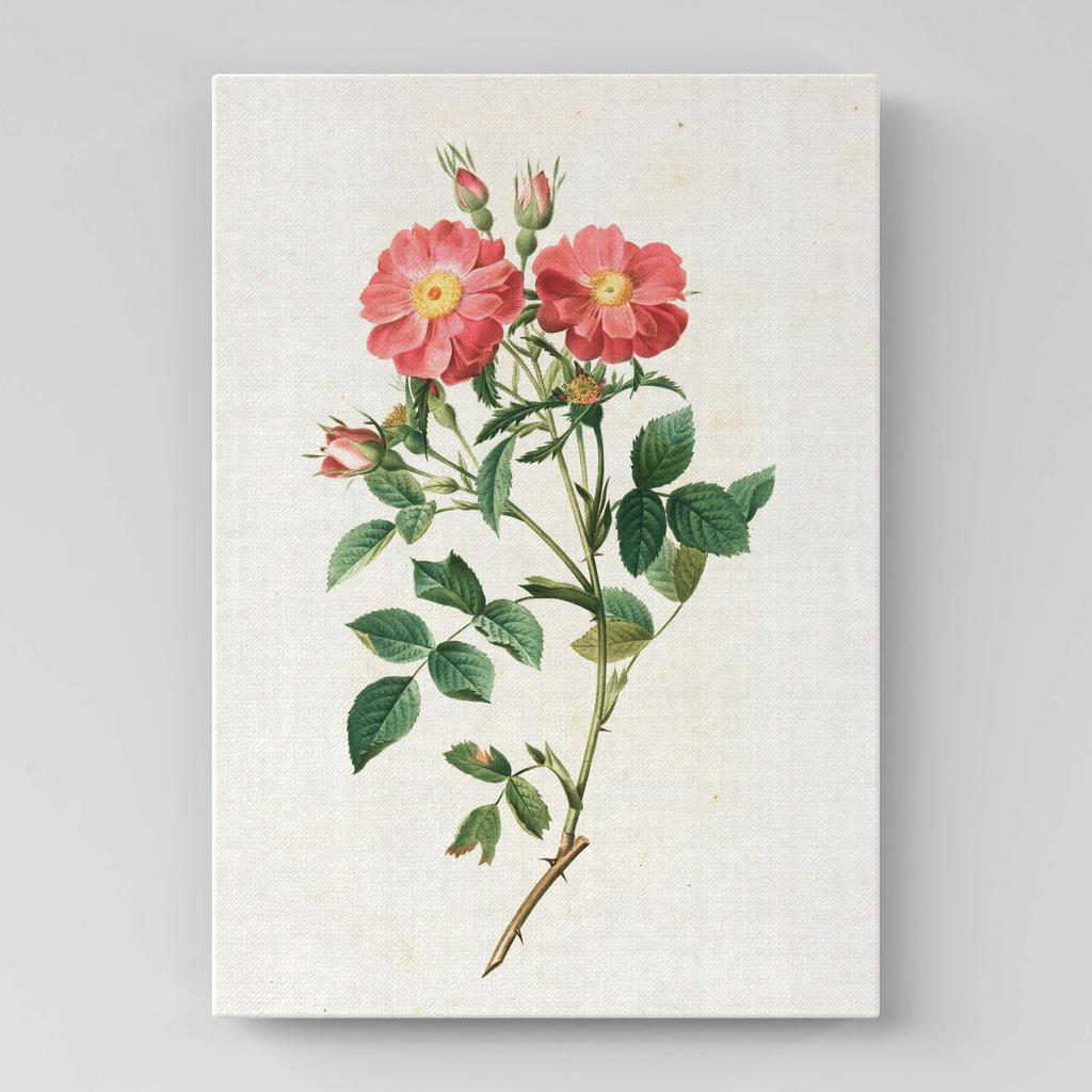 Картина с цветами (Ботаника) FB1035