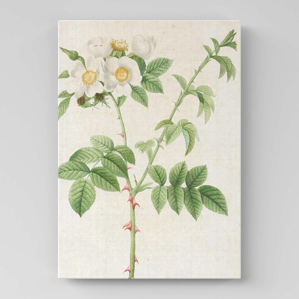 Картина с цветами (Ботаника) FB1036