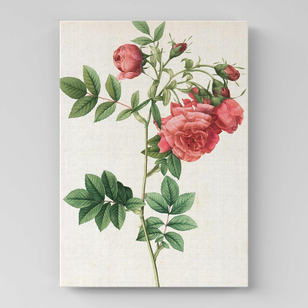 Картина с цветами (Ботаника) FB1039