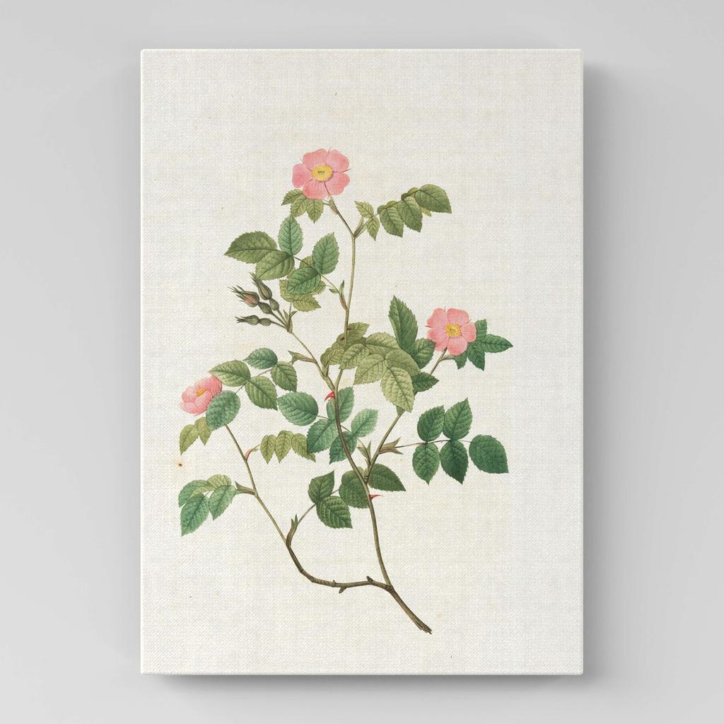 Картина с цветами (Ботаника) FB1040