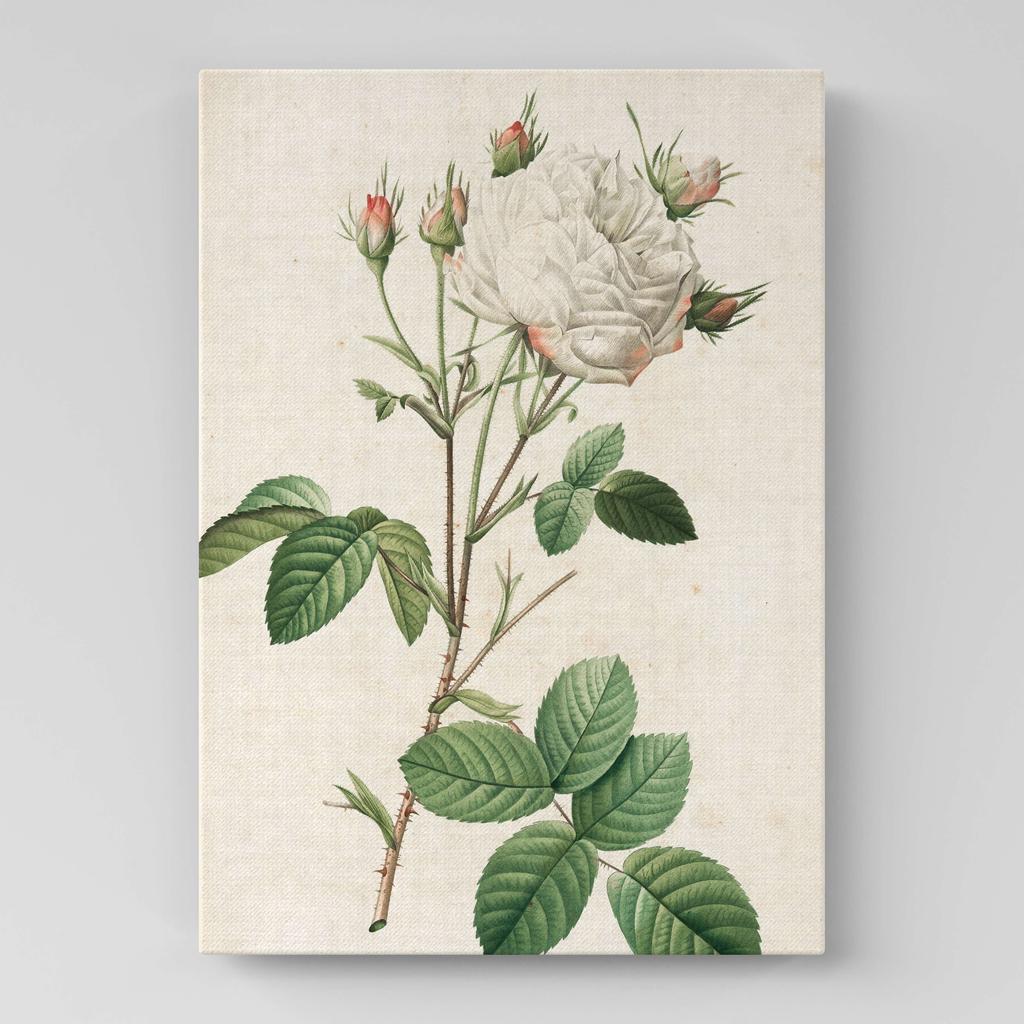 Картина с цветами (Ботаника) FB1042