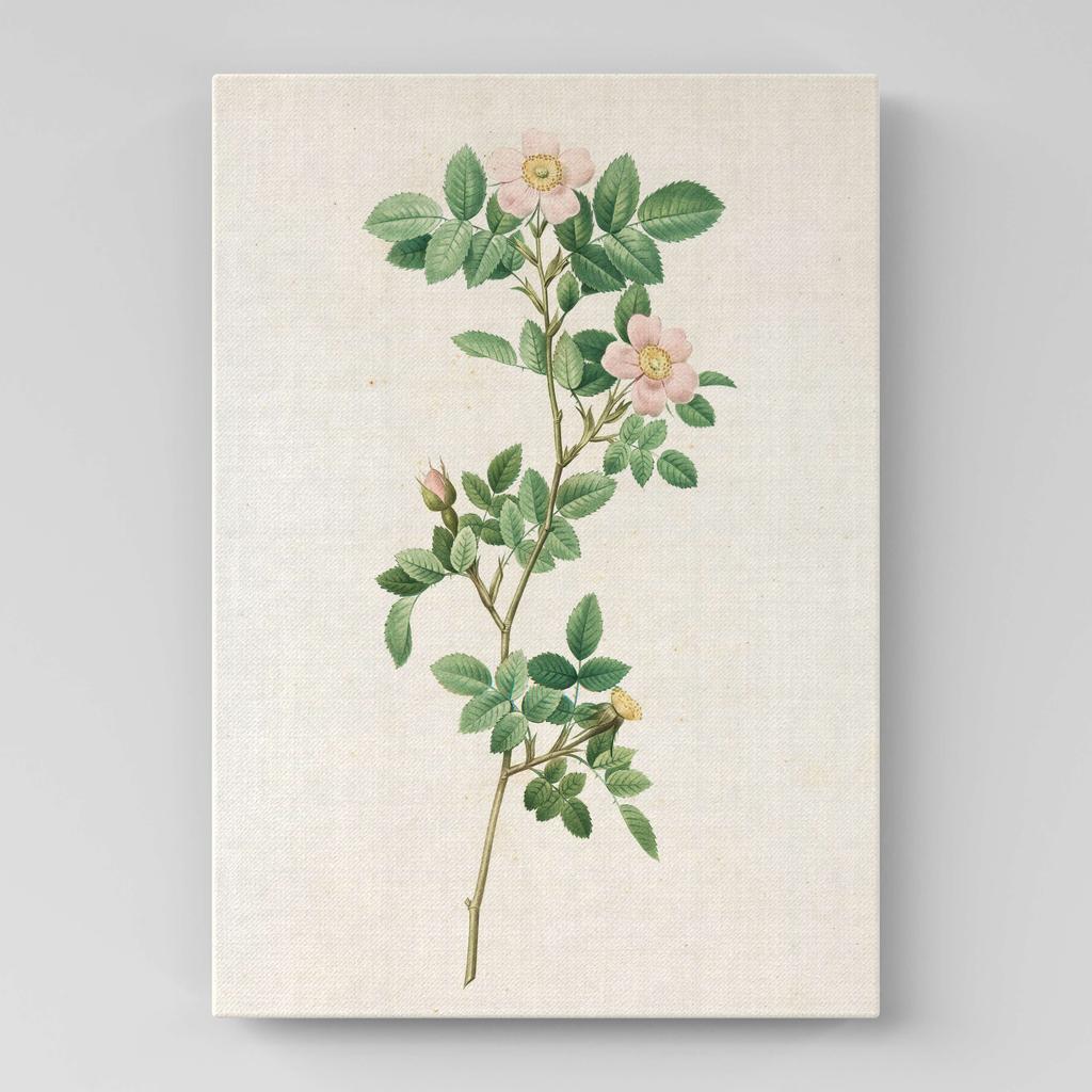 Картина с цветами (Ботаника) FB1043