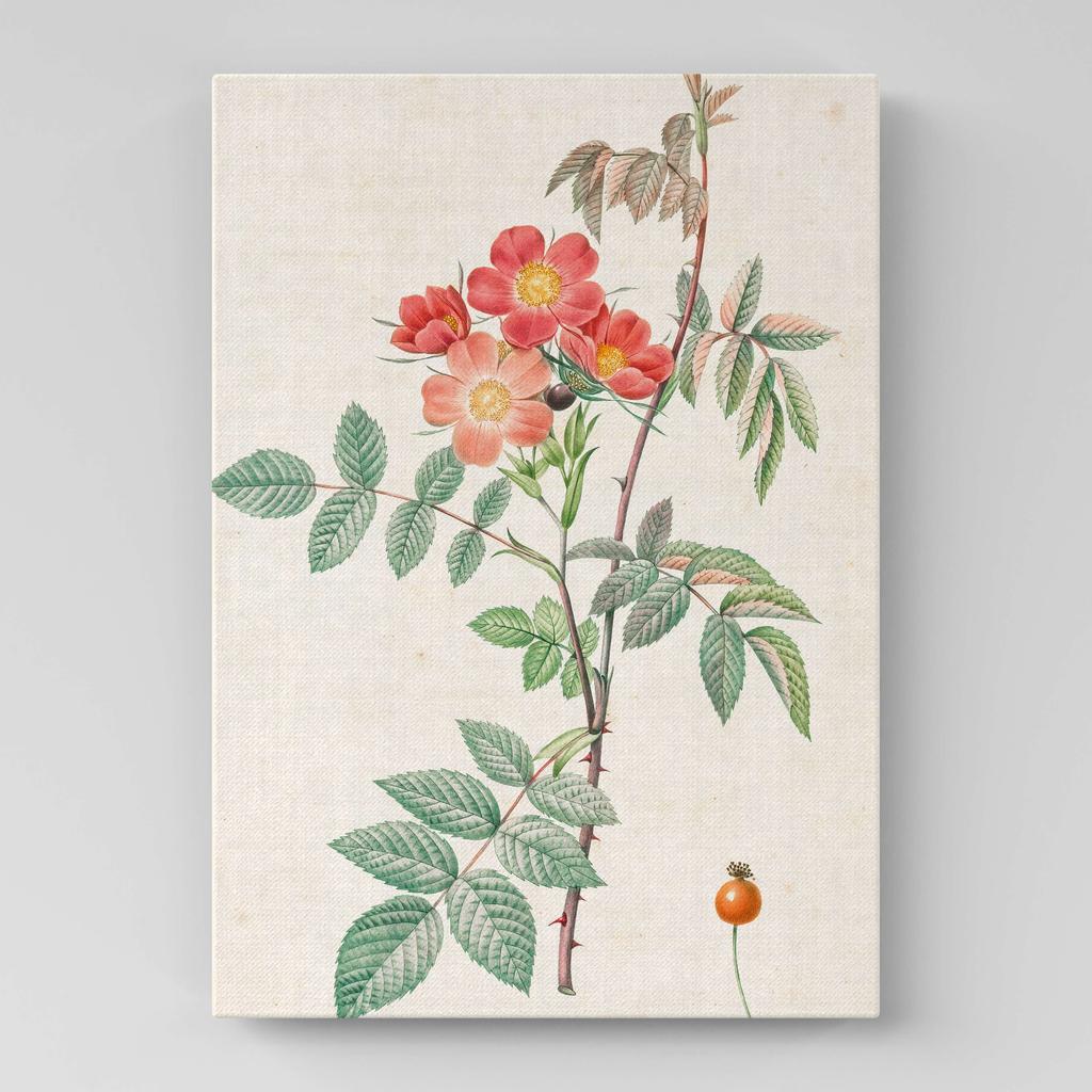 Картина с цветами (Ботаника) FB1045