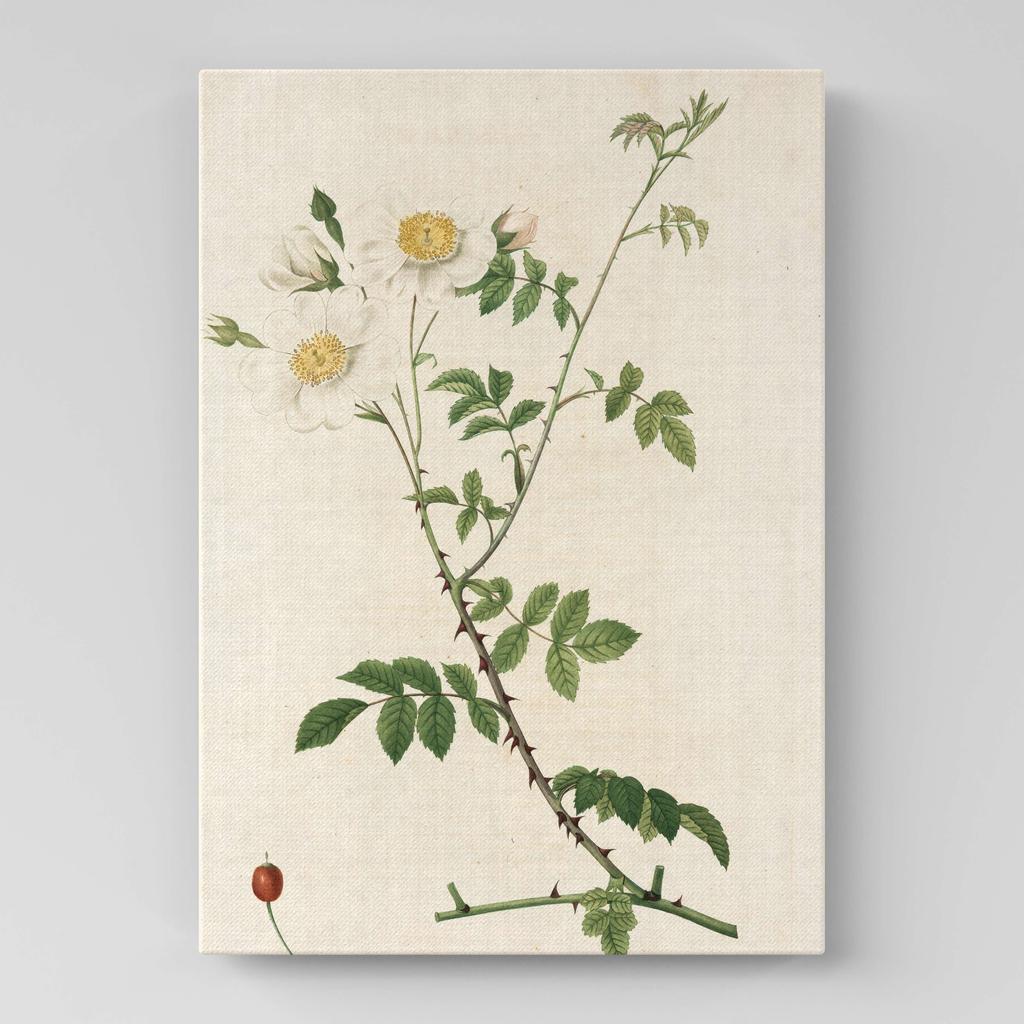 Картина с цветами (Ботаника) FB1047