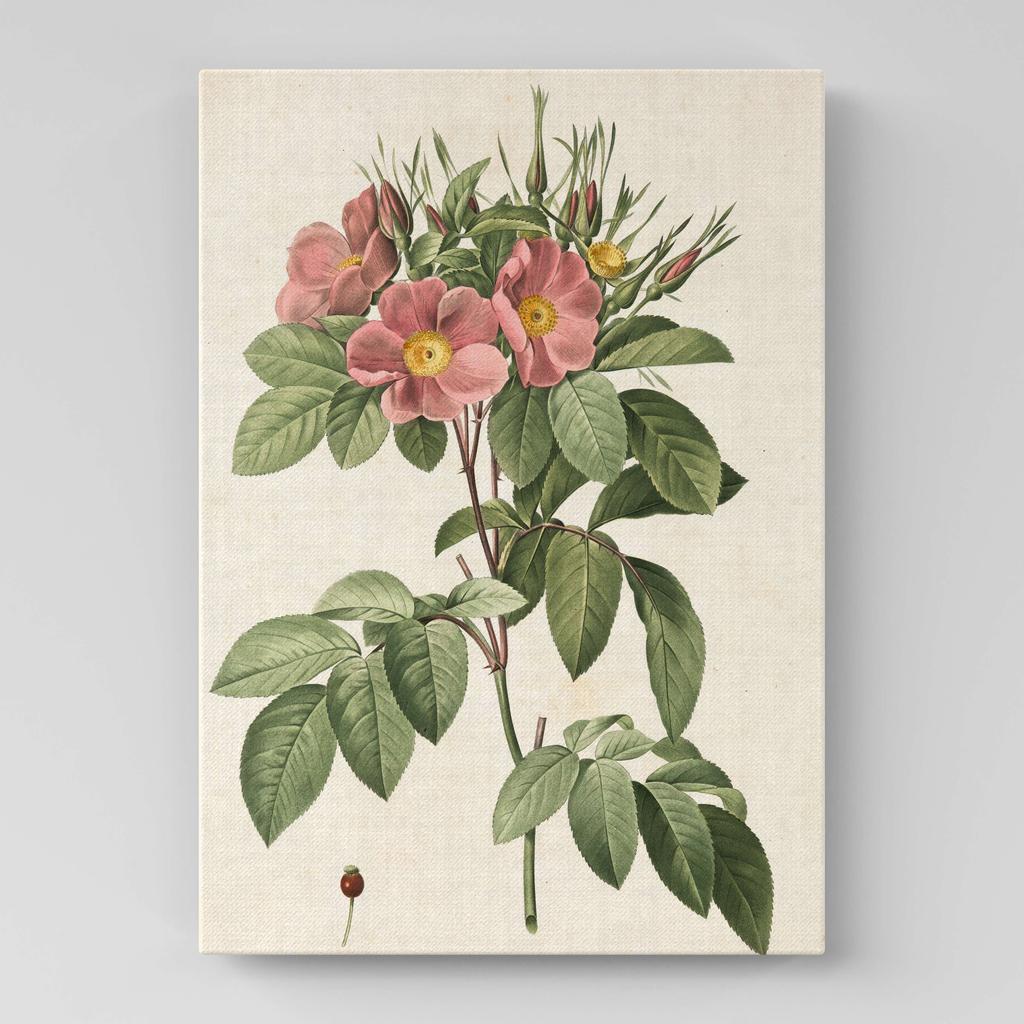 Картина с цветами (Ботаника) FB1048