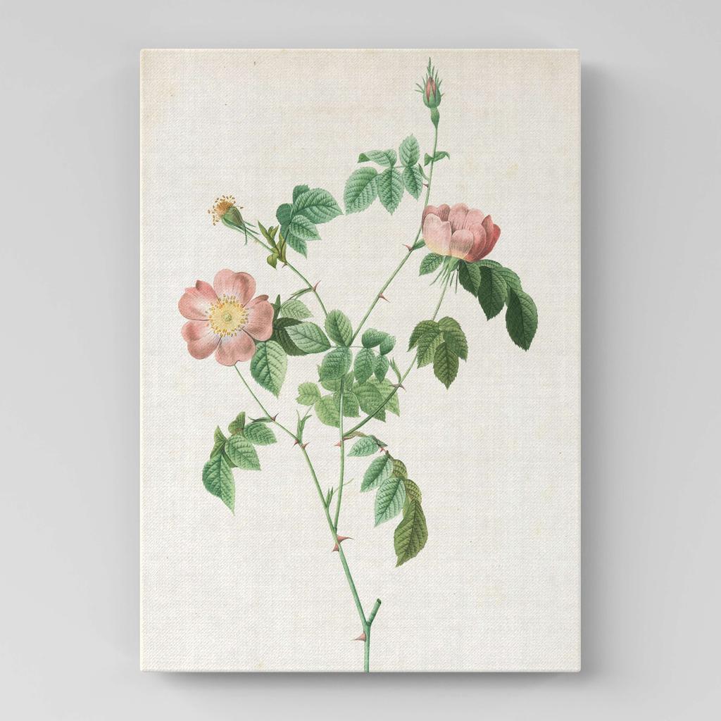 Картина с цветами (Ботаника) FB1050