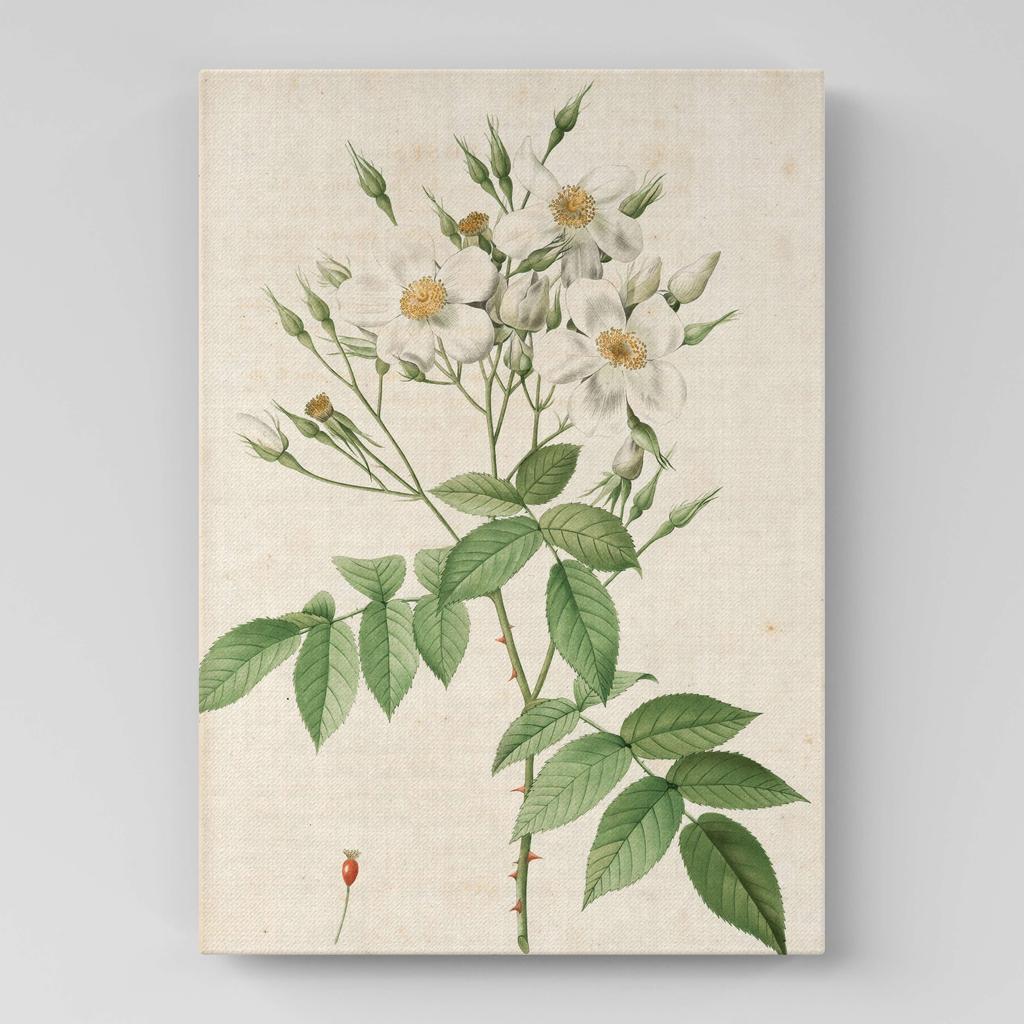 Картина с цветами (Ботаника) FB1052